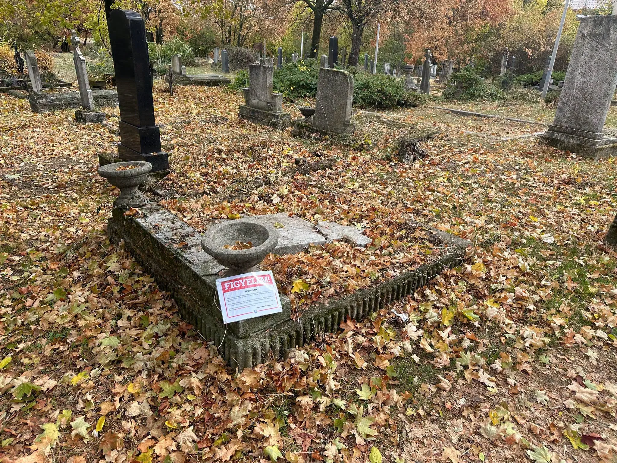 Újabb felhívást tett közzé az önkormányzat a Kistemető sírjainak gondozóival kapcsolatban
