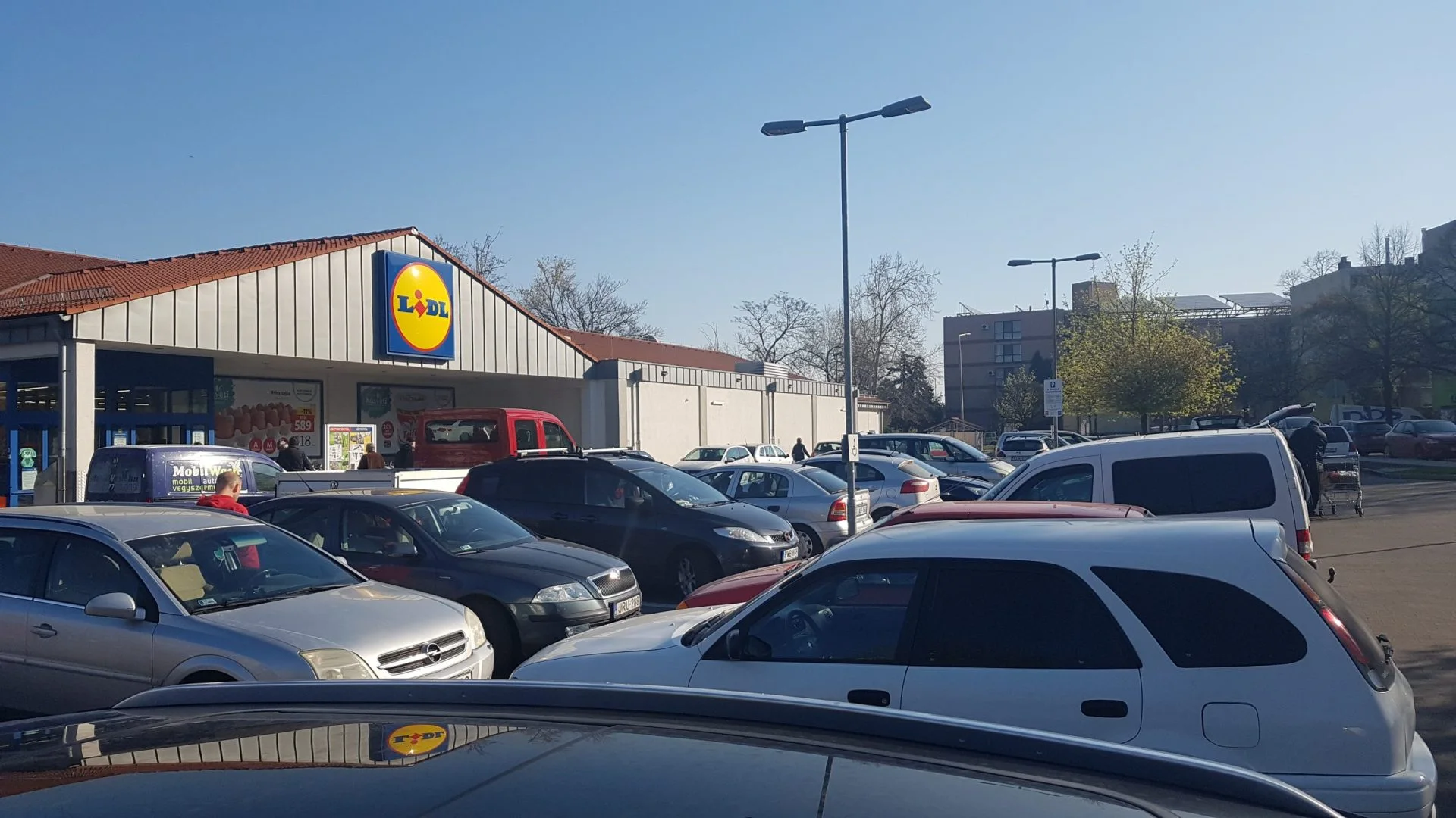 Baktériumot találtak egy csokoládéízű pudingban